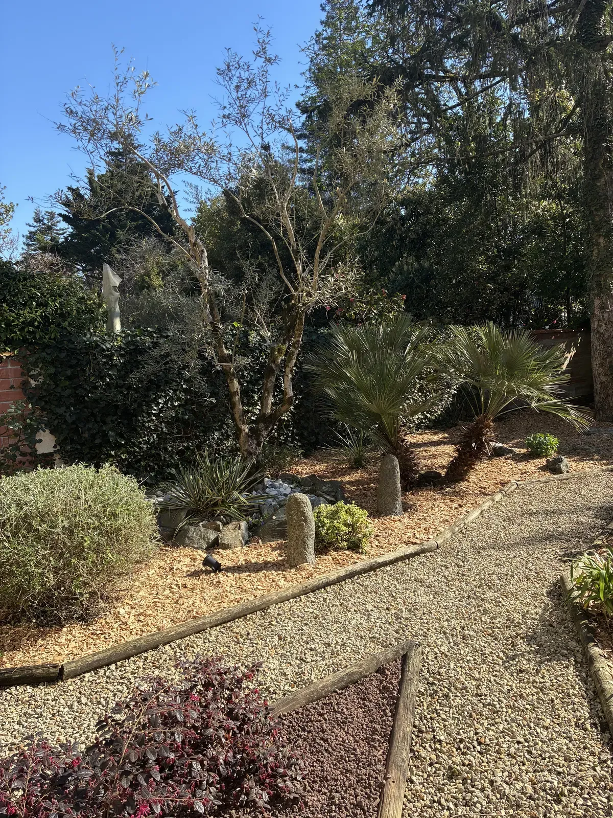 Jardin restauré — vue 1