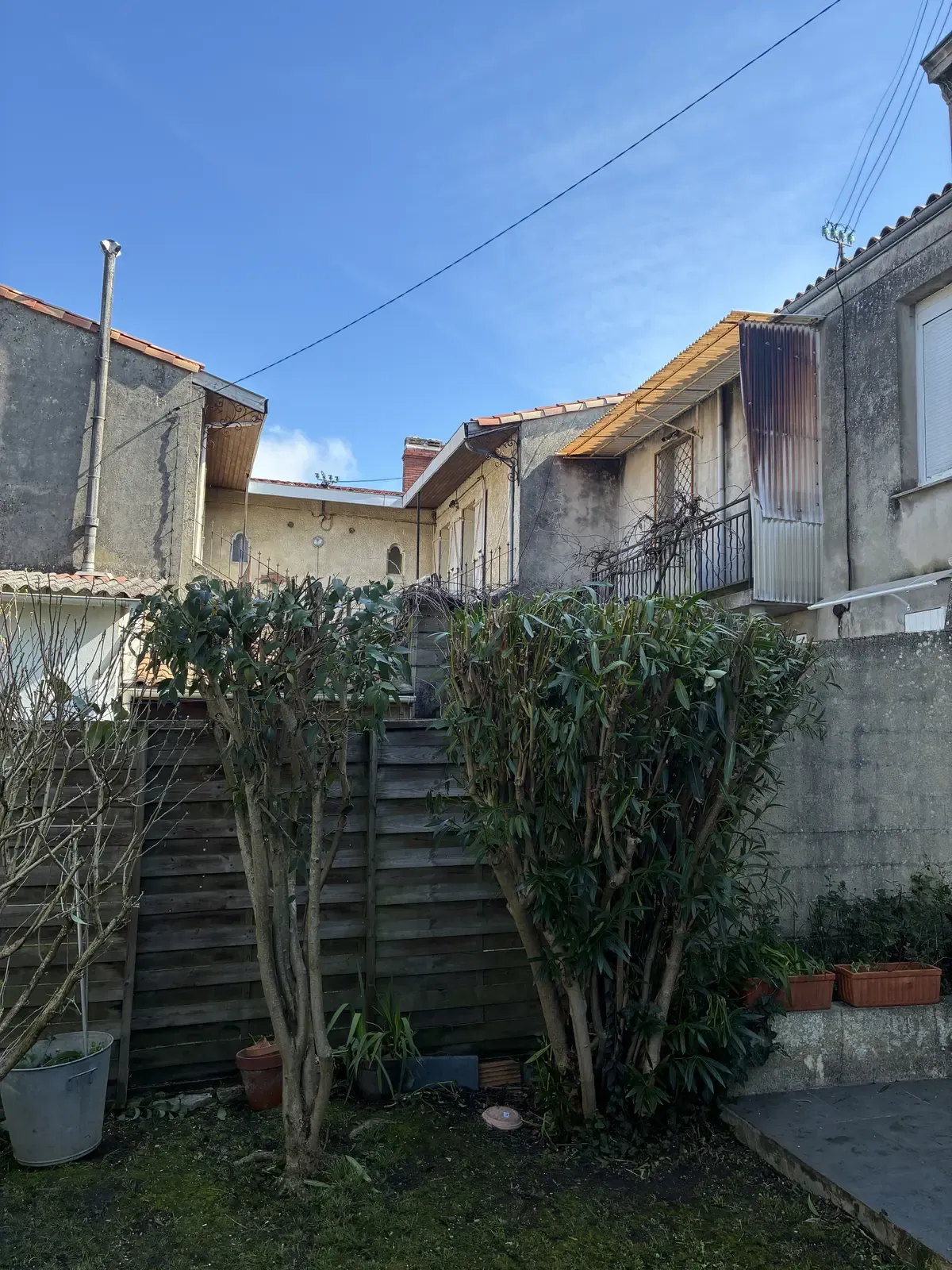 Haies taillées — vue principale