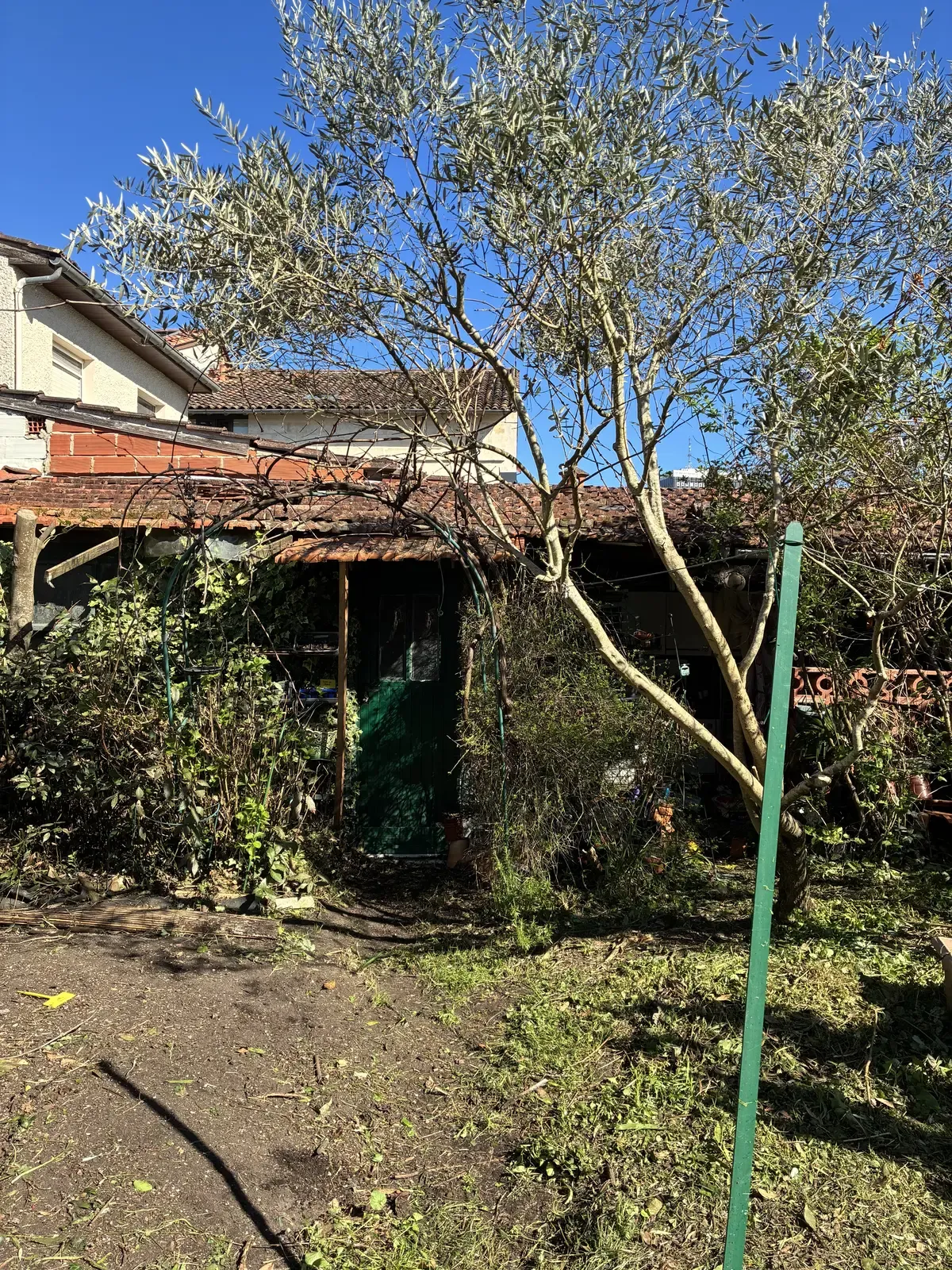 Vue du jardin nettoyé