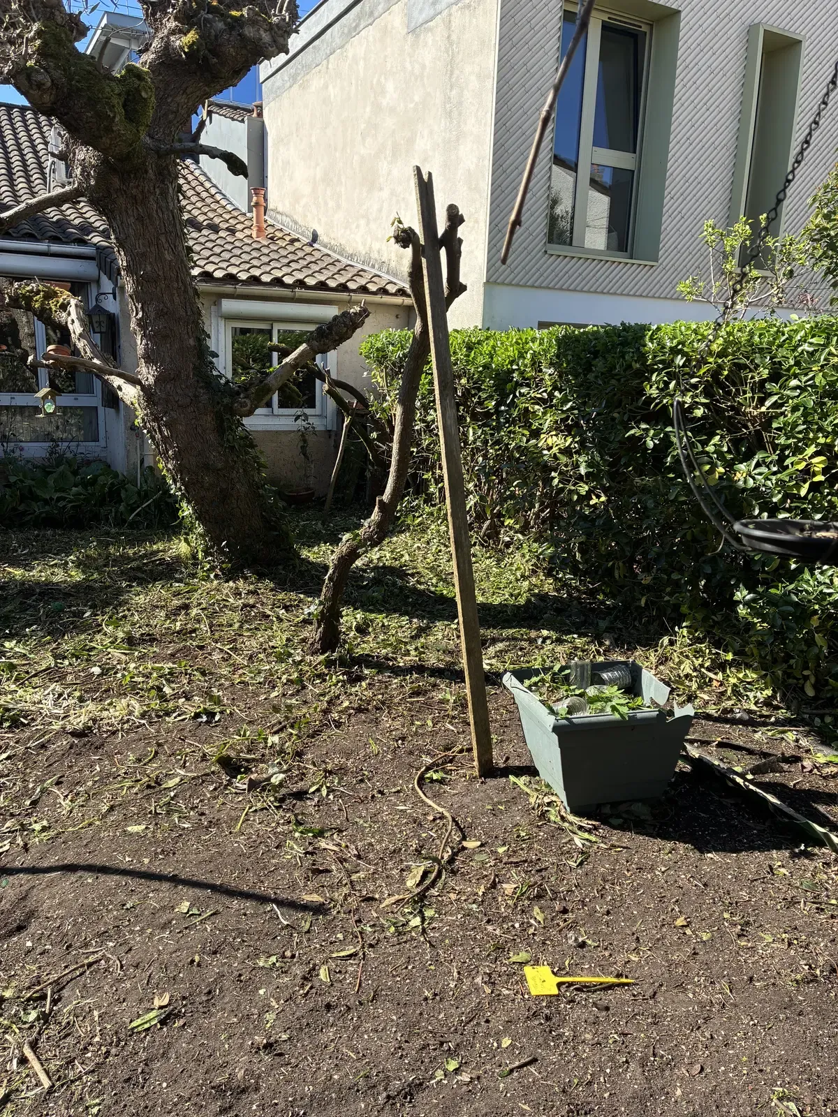 Préparation pour replantation