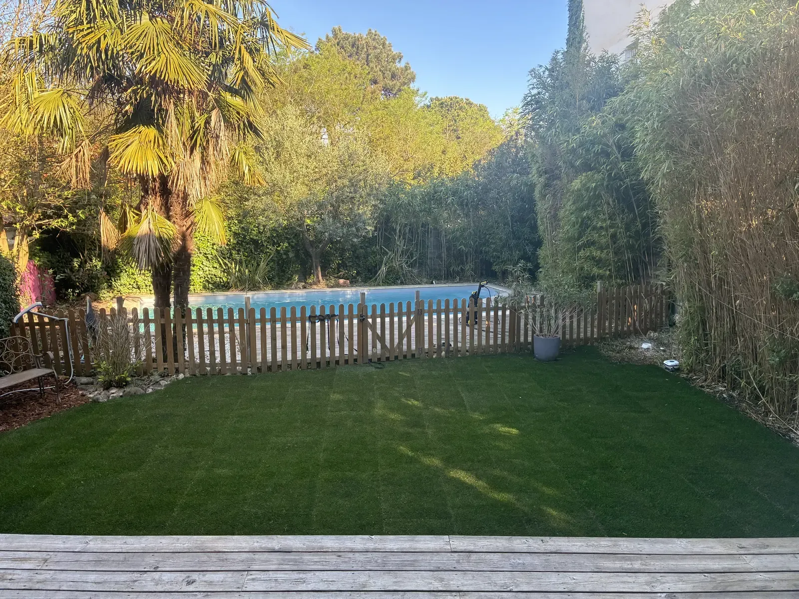 Pelouse finale dense et régulière