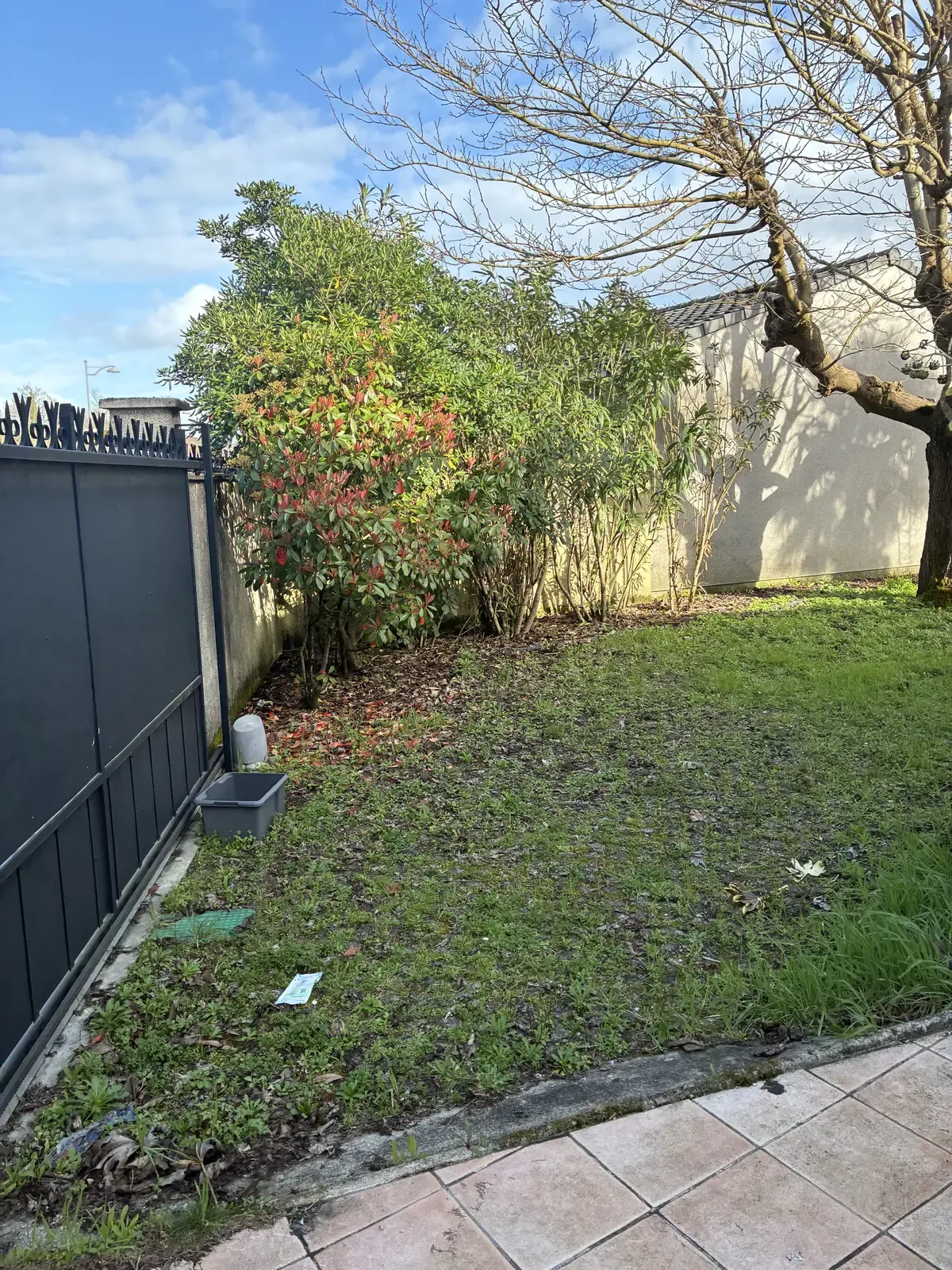 Jardin envahi par les mauvaises herbes