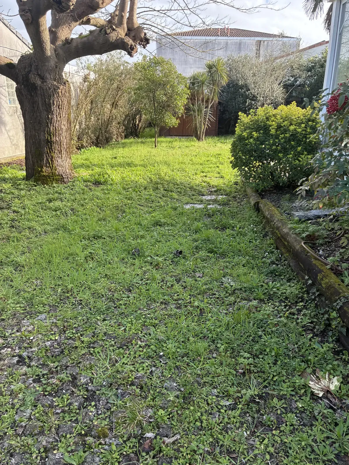 Jardin avant intervention