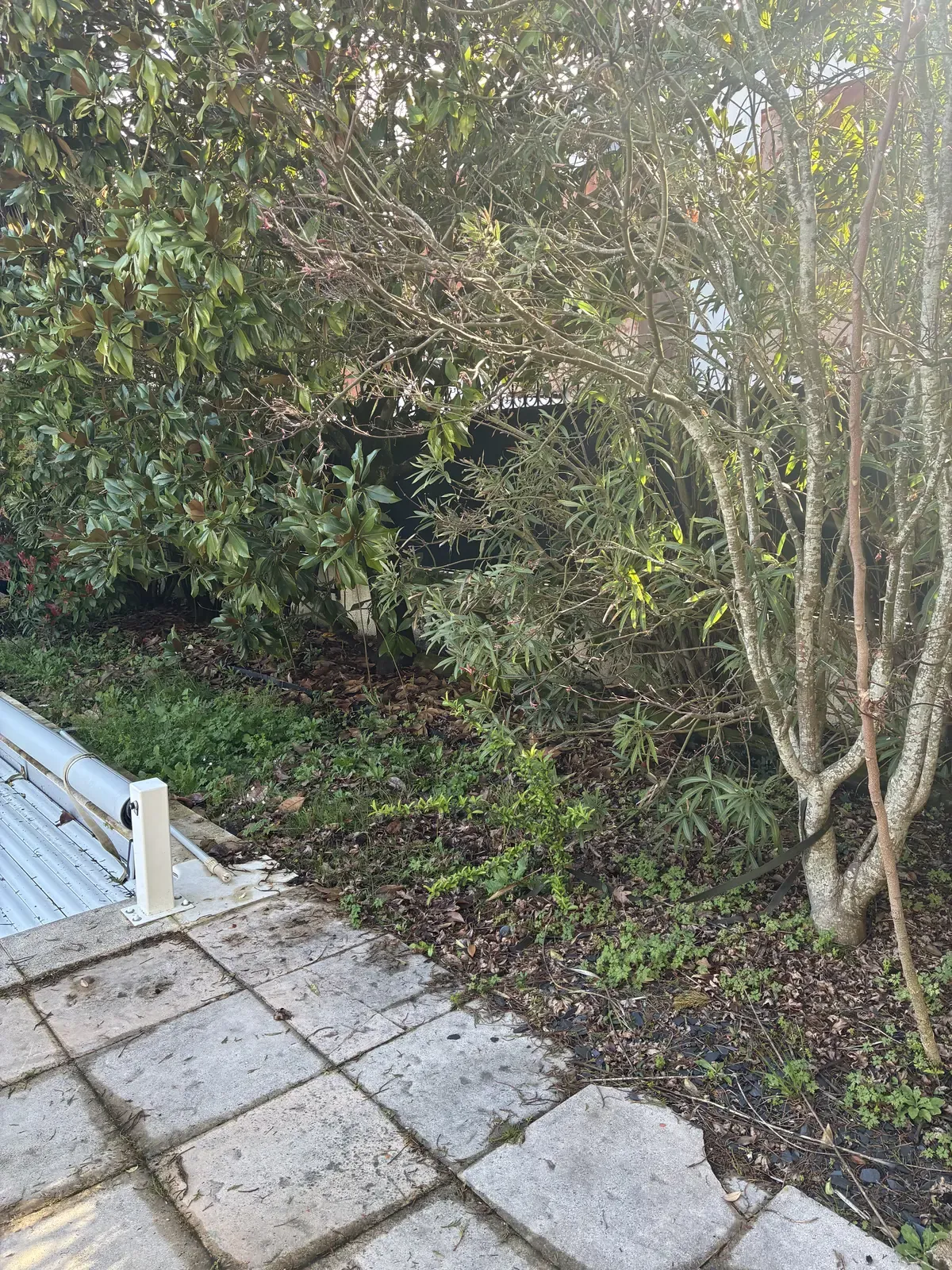 Jardin avant intervention — autre vue