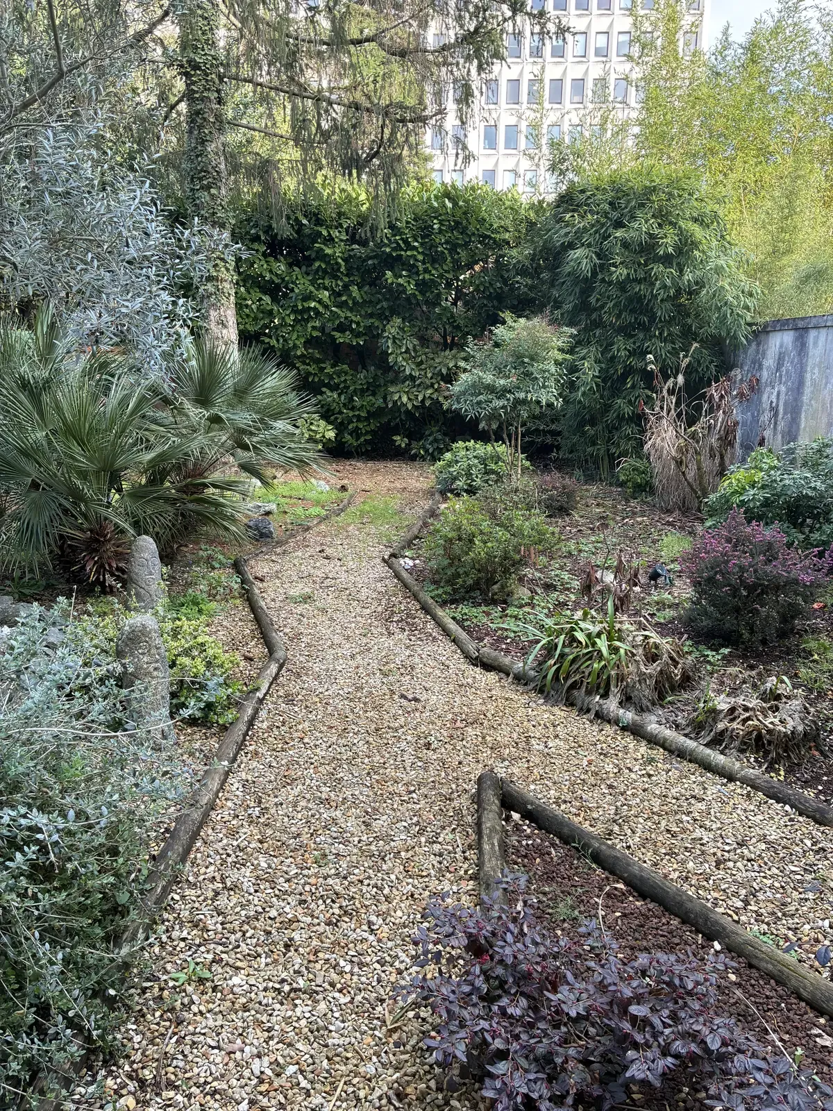 État initial — terrain abandonné