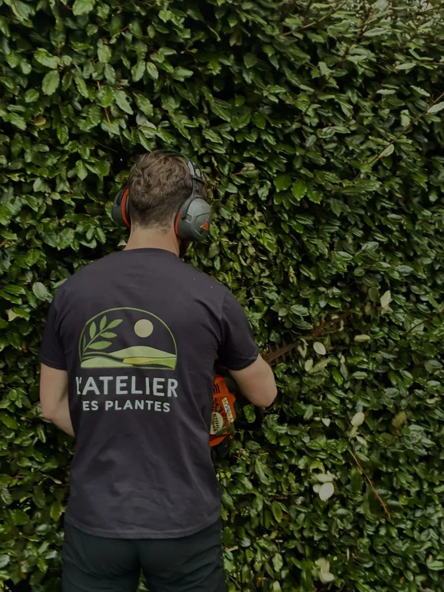 Théo CHEREL - Paysagiste à Bordeaux, taillant une haie