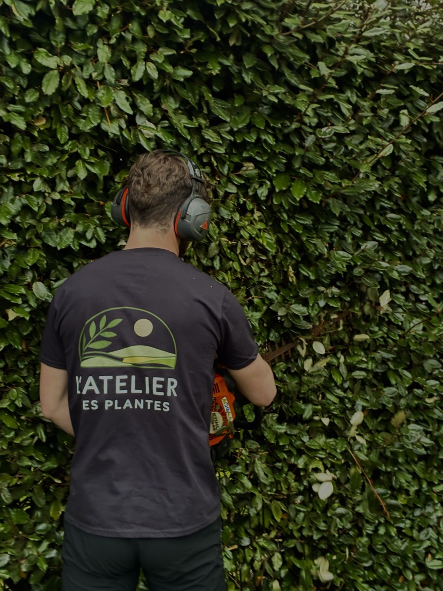 Théo CHEREL - Paysagiste à Bordeaux, taillant une haie