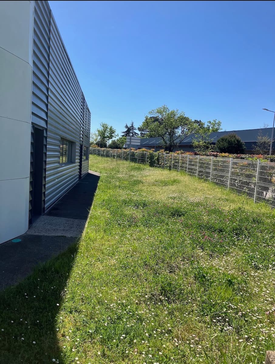 Tonte d'un local professionnel - Avant