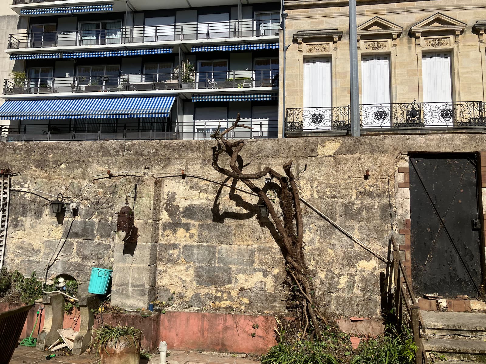 Arrachage lierre - Après